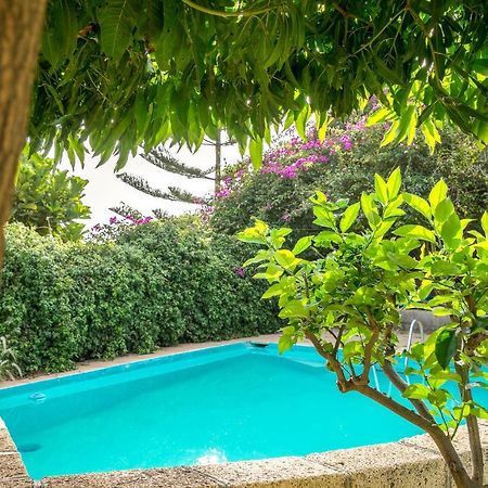 Casitas En El Paraiso Candelaria Ngoại thất bức ảnh