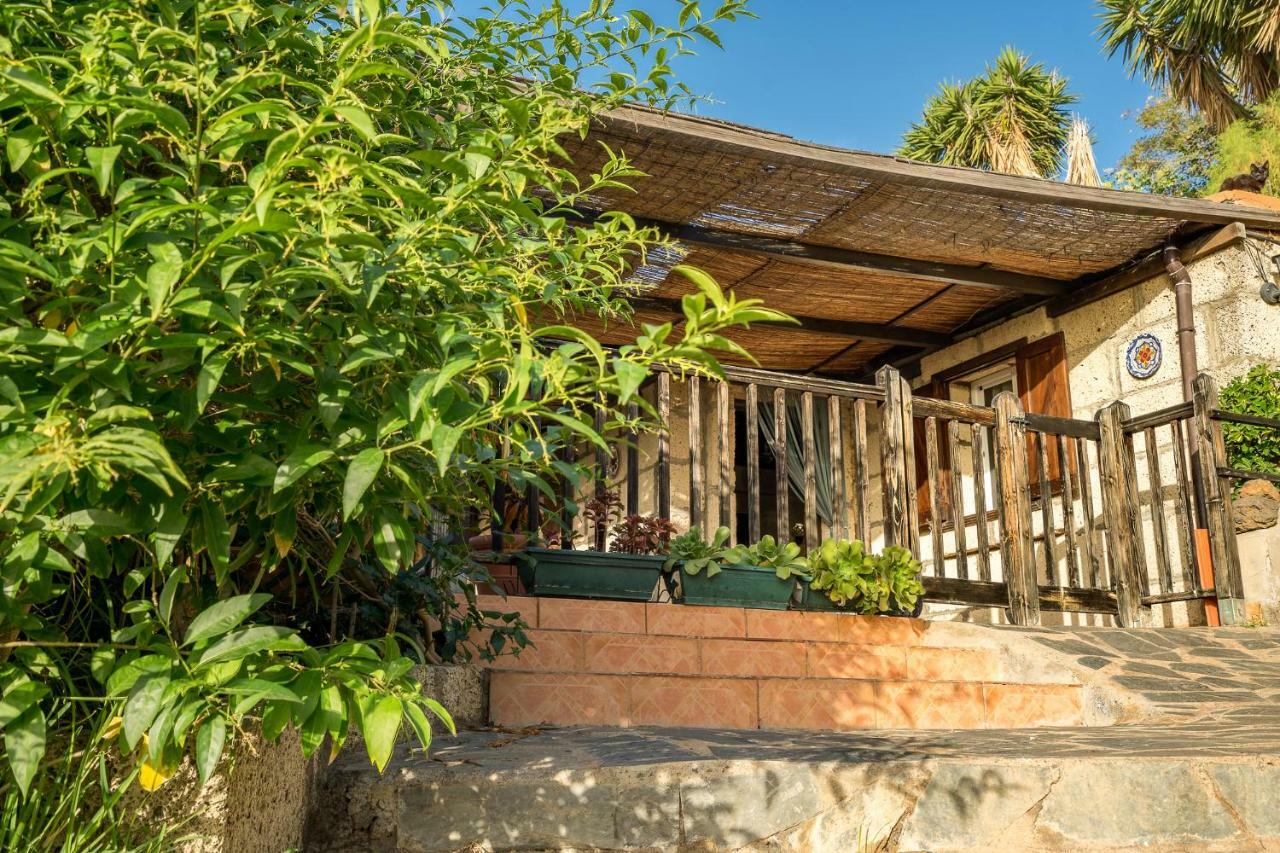 Casitas En El Paraiso Candelaria Ngoại thất bức ảnh